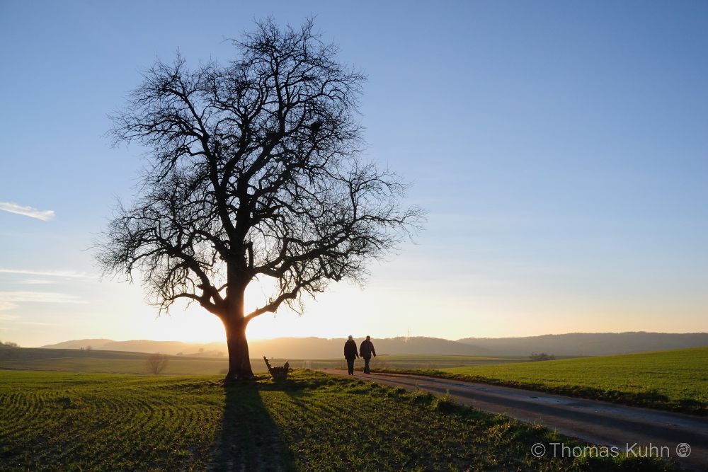 LandscapeRohrbach_12_01_2014_TOMDSCN7957